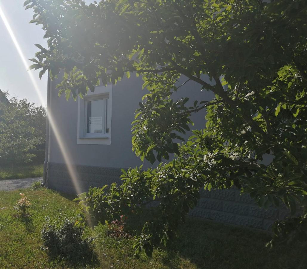 Ferienhaus Niesky Екстериор снимка